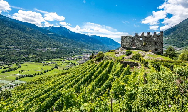 Valtellina tra vigneti, storia e natura per una fuga di primavera