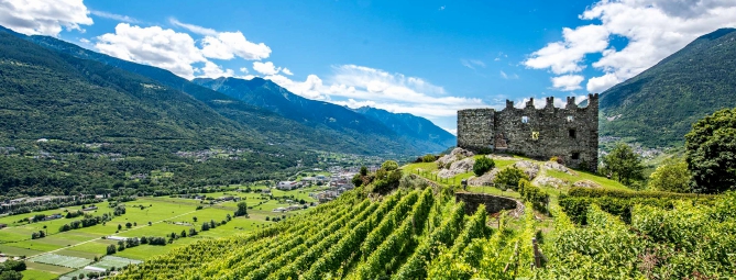 Valtellina tra vigneti, storia e natura per una fuga di primavera