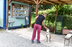Varese, canile in festa