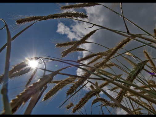 Primo weekend di maggio dal caldo estivo a forti temporali