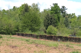 Il Parco Pineta piace: tutti cercano l’orso