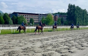 Varese: cavalli in pista