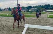 Varese: cavalli in pista
