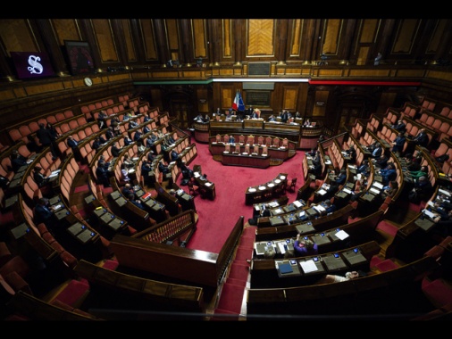 Il Senato approva il ddl per i reati contro gli animali