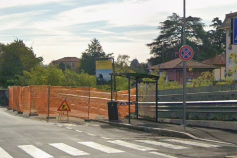 «Viale Borri? No, senza alberi è via Borri»