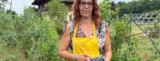 È l’anno del mirtillo varesino