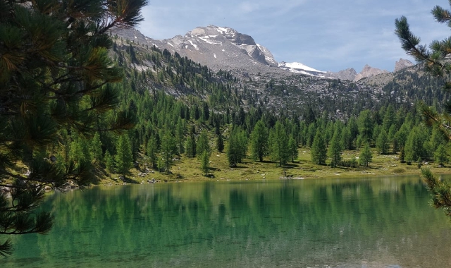 San Vigilio, camminare tra distese di pino mugo