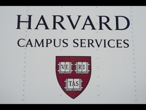 Trump apre un'inchiesta sui visti internazionali a Harvard