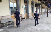 Luino più sicura grazie a Zorro