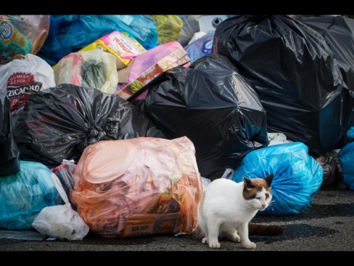 Plastic Free, tolleranza zero per chi getta rifiuti da auto