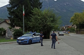 Scoperto bosco dello spaccio di tre chilometri quadrati