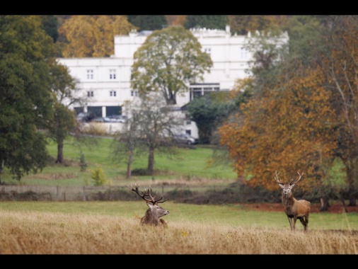 Bbc, 'l'ex principe Andrea ha lasciato la residenza di Windsor'
