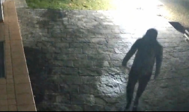 Continua l’emergenza furti (foto Archivio)