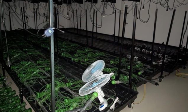 La droga trovata nella sede di Gavirate