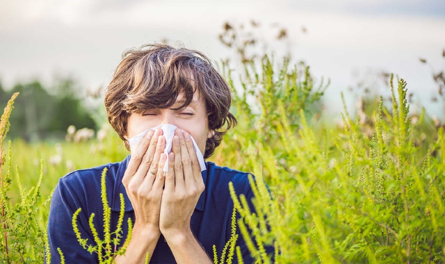 Starnuti di primavera