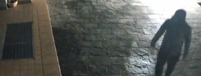 Ladri in azione, il mistero dell’Audi nera: «Presente su ogni colpo»