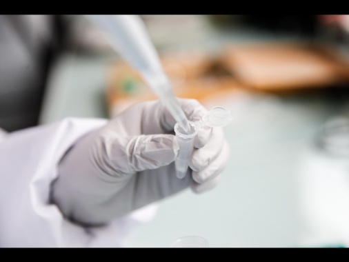 Individuato il motore che rende aggressivi i tumori, ora si possono fermare prima