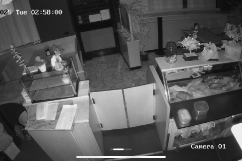 Samarate: preso il ladro seriale