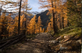 Macugnaga, dissequestrata la pista di mountain bike