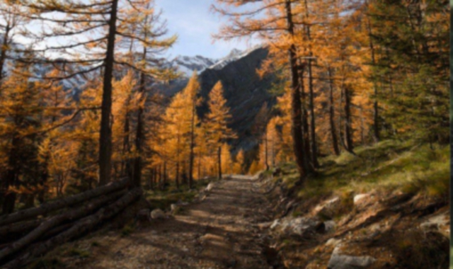 Macugnaga, dissequestrata la pista di mountain bike