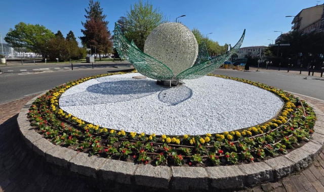 Sfere, farfalle e luci: le decorazioni fanno discutere