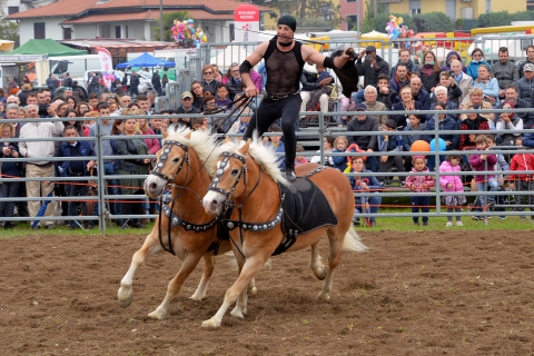 Origgio: ecco la “Fiera del Bestiame e delle Merci”