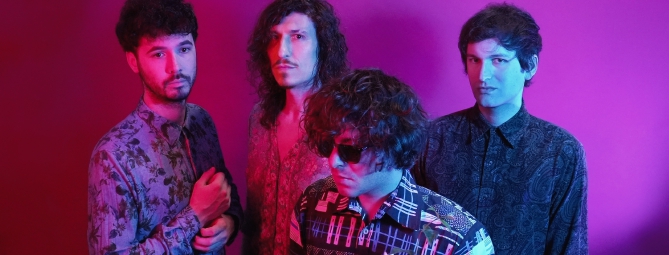 Per resistere al caos beviti una Camomilla e starai meglio