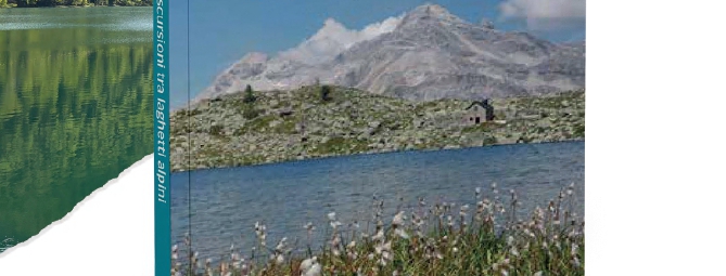 Specchi d'acqua turchese e silenzi d'alta quota: in cammino tra i laghetti alpini