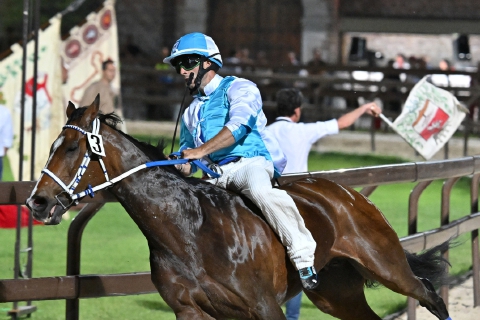 Palio, la Provaccia al Corvo