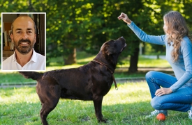 Più cani che bambini: tassa di 20 euro per sostenere le famiglie