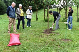 Un albero a Villa Toeplitz per ricordare Silvio Valisa
