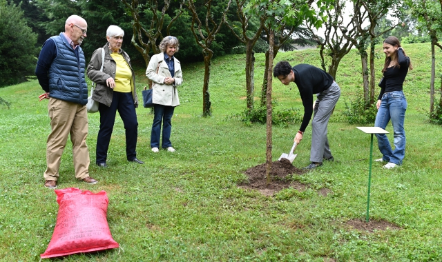 Un albero a Villa Toeplitz per ricordare Silvio Valisa
