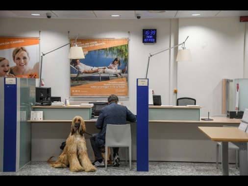 Bankitalia, aumentano del 2,8% ad aprile i prestiti al settore privato